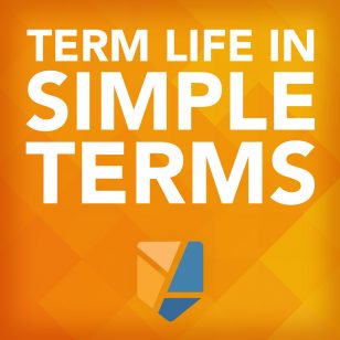 Term life in simple terms graphic